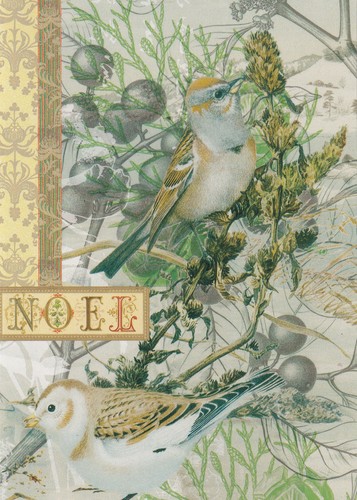 Cartoline natale punch - cartoline, di