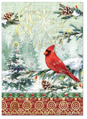 Punch studio joy - studio, 12